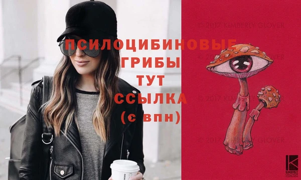 соль ск Арсеньев