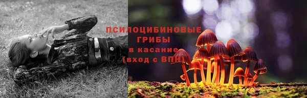 твердый Армянск