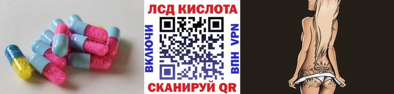 дарнет шоп Нефтекумск ЛСД экстази ecstasy