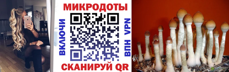 цены наркотик  Нефтекумск  Галлюциногенные грибы ЛСД 