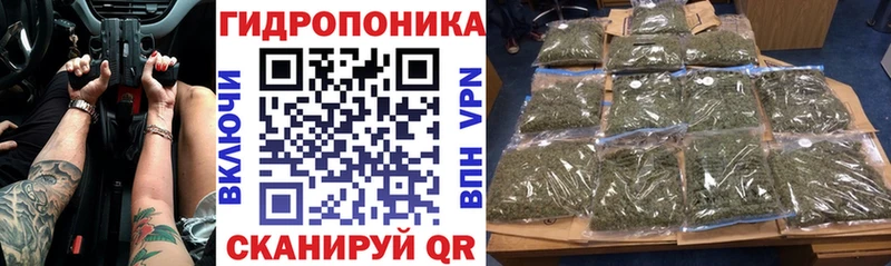 МАРИХУАНА семена  магазин продажи   Нефтекумск 